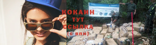 a pvp Аркадак